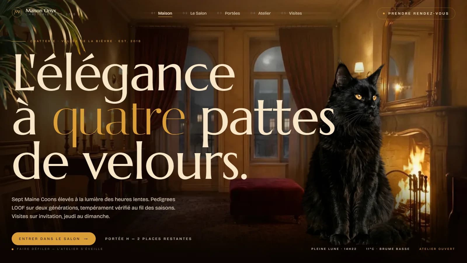 Miniature éditoriale du projet Maison Onyx avec un Maine Coon noir endormi lové sur une surface en onyx poli, en clair-obscur profond, et typographie serif ivoire « Maison Onyx » sur le tiers droit
