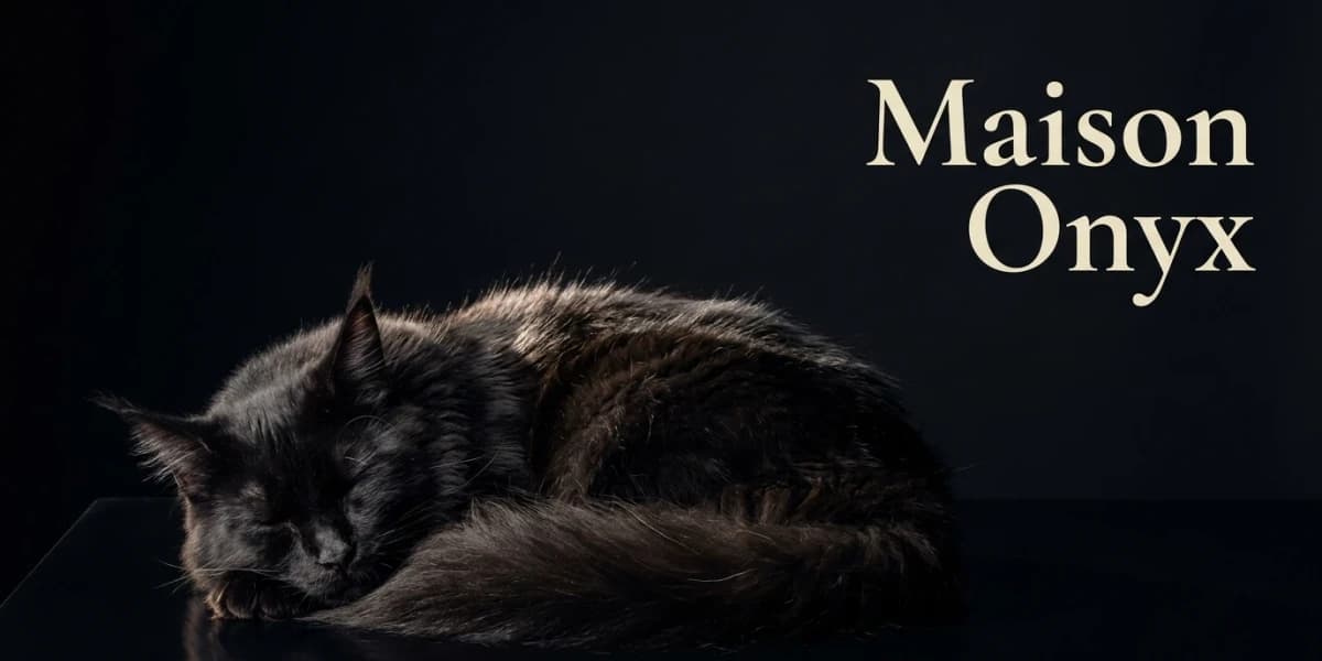 Miniature éditoriale du projet Maison Onyx avec un Maine Coon noir endormi lové sur une surface en onyx poli, en clair-obscur profond, et typographie serif ivoire « Maison Onyx » sur le tiers droit