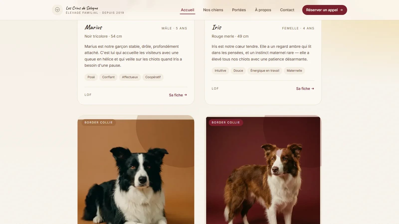 Section « Nos chiens » avec fiches détaillées de Marius (Berger Australien) et Iris (rouge merle), tempérament, taille et lien LOF