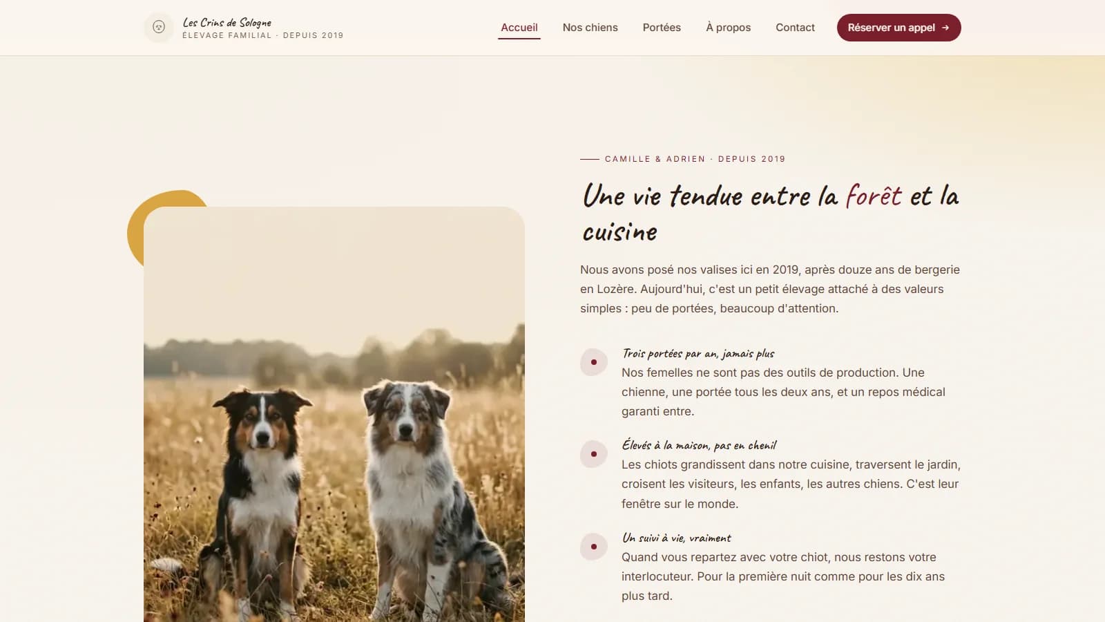 Section À propos « Une vie tendue entre la forêt et la cuisine » avec Camille & Adrien et leurs Bergers Australiens dans un champ doré, et les engagements de l'élevage (trois portées par an, élevés à la maison, suivi à vie)